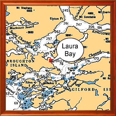 Laura Bay