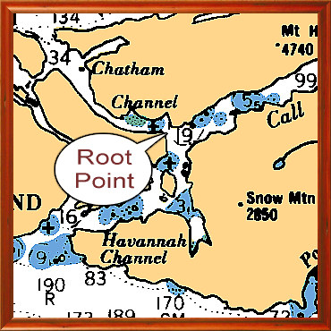 Root Point