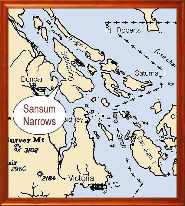 Sansum Narrows