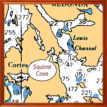 Squirrel Cove