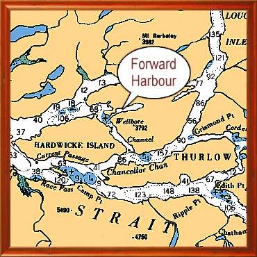 Forward Harbour