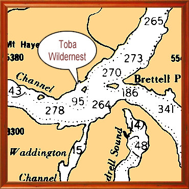 Toba Wildernest