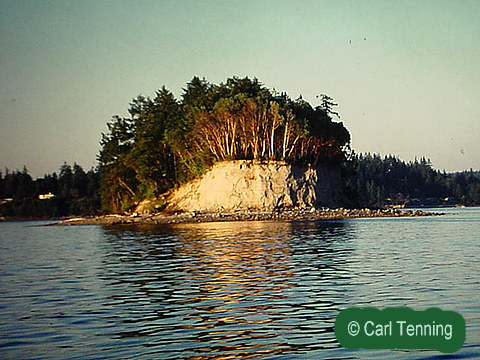 Cutts Island