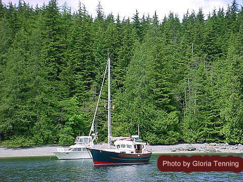 Douglas Bay, Forward Harbour