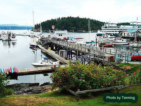 Friday Harbor Marina