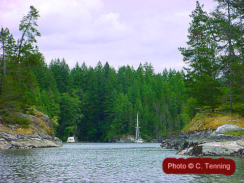 Kingcome Inlet Public Dock