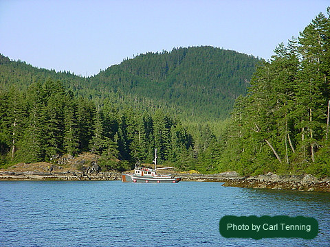 Anchored Port Harvey