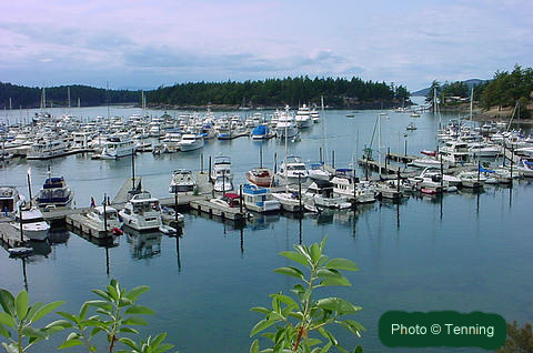 Port Hadlock Guest Moorage