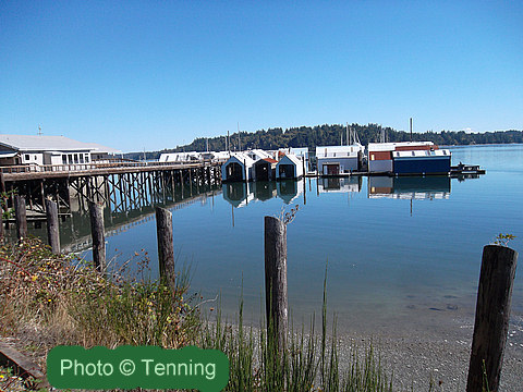 Shelton Marina