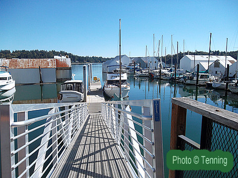 Shelton Marina