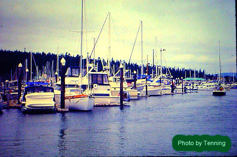 Skyline Marina, Flounder Bay, Fidalgo Island