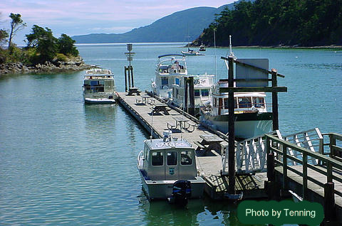 Skyline Marina