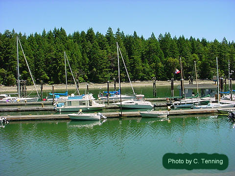 Thetis Island Marina