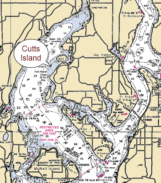 Cutts Island